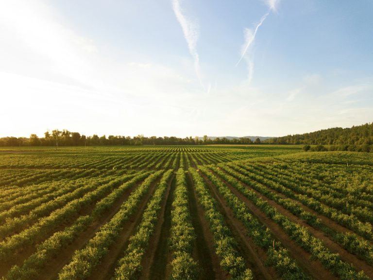 Politica Agricola Comune