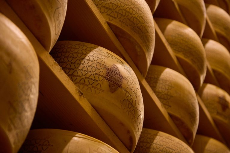 La relazione di Nomisma sul mercato del latte e del Grana Padano